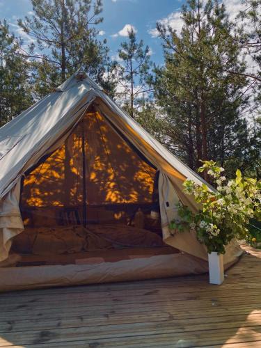 Lihula Other | Tikavälja glamping