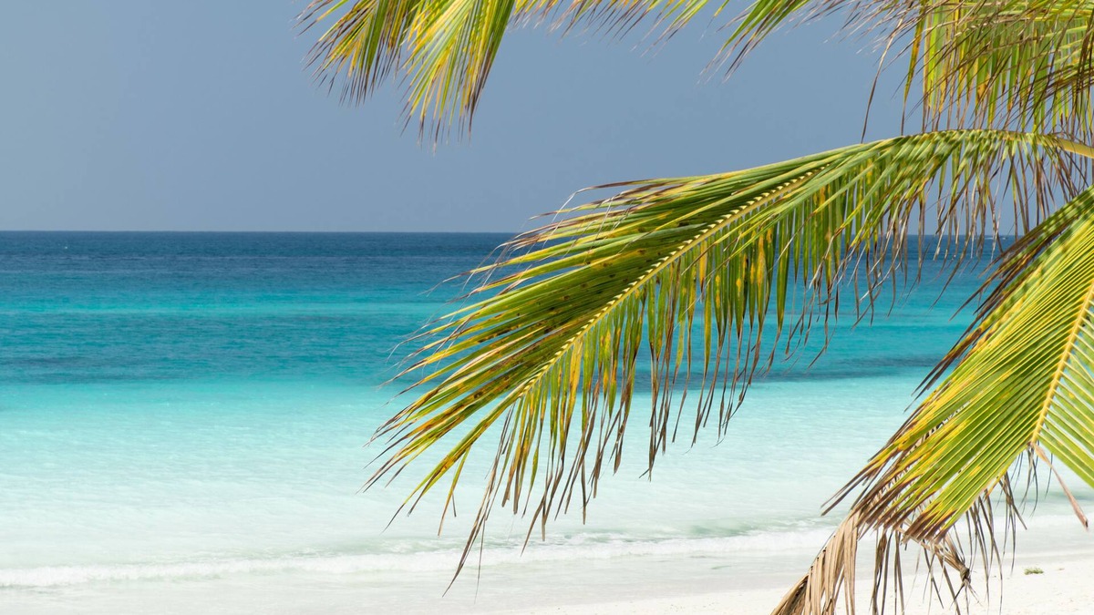 Pongwe Hotel | Tikitam Palms Boutique Hotel
