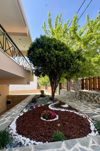 Plataria House | Tillo apartments