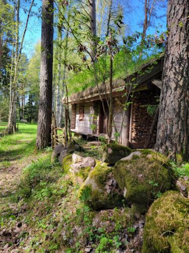 Tibro House | Timmerstugan i skogen