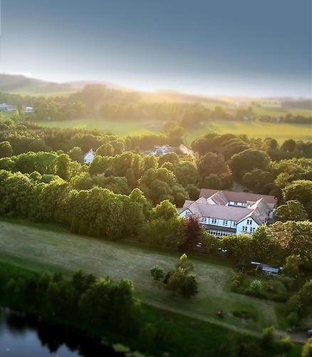 Symington Hotel | Tinto Hotel