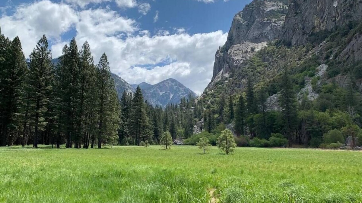 Squaw Valley House | Tiny Cottage for 2 near Kings Canyon National Park with EV Charging.