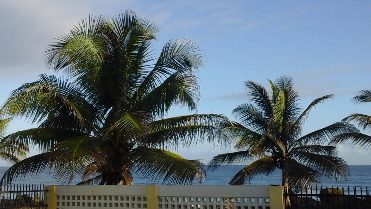 Arecibo Pueblo Villa | Tiny Gem - Oceanfront