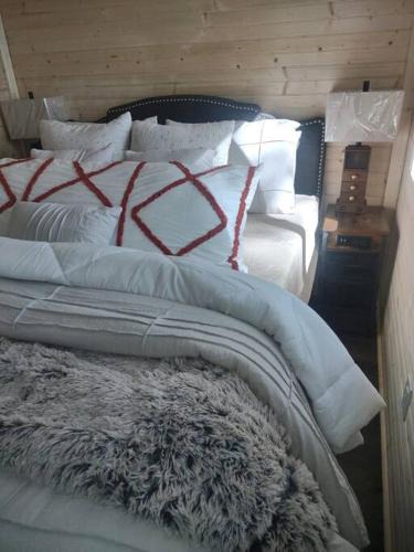 Ashley Oaks House | Tiny Home Big View