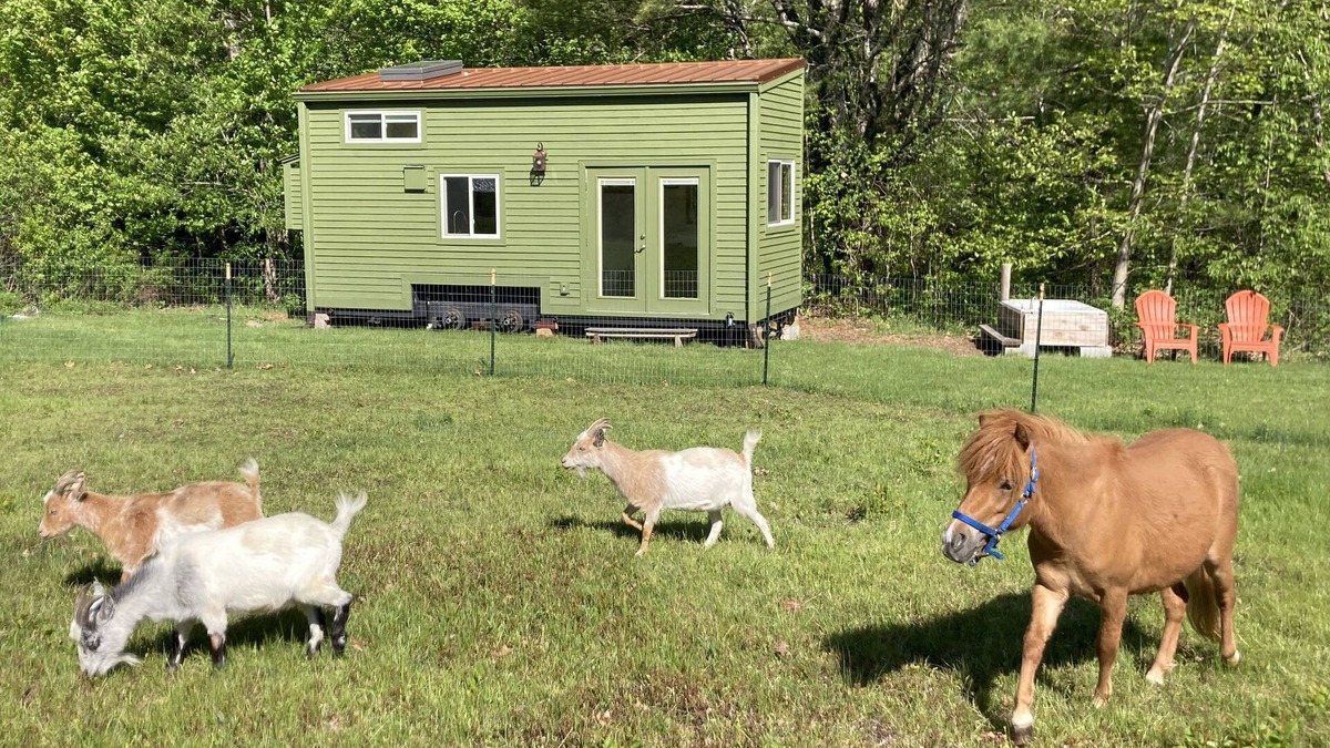 Appleton Cottage | Tiny House at Hidden Meadow