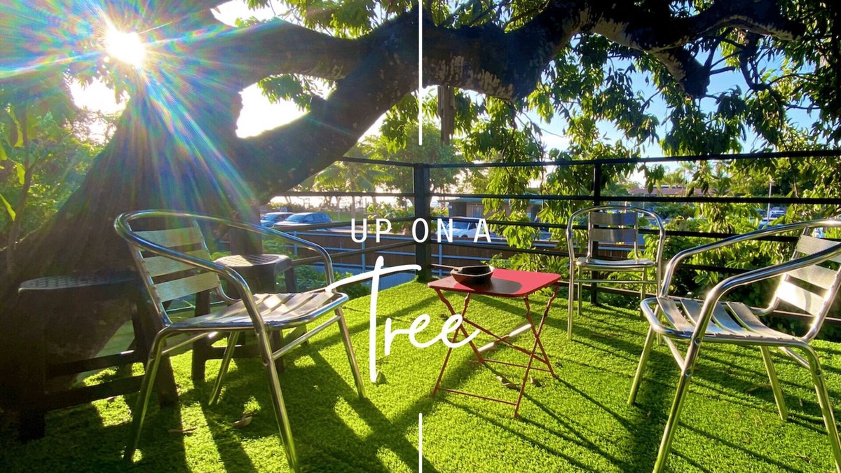 Punaauia House | Tiny house by the sea with its private pool - under a tree