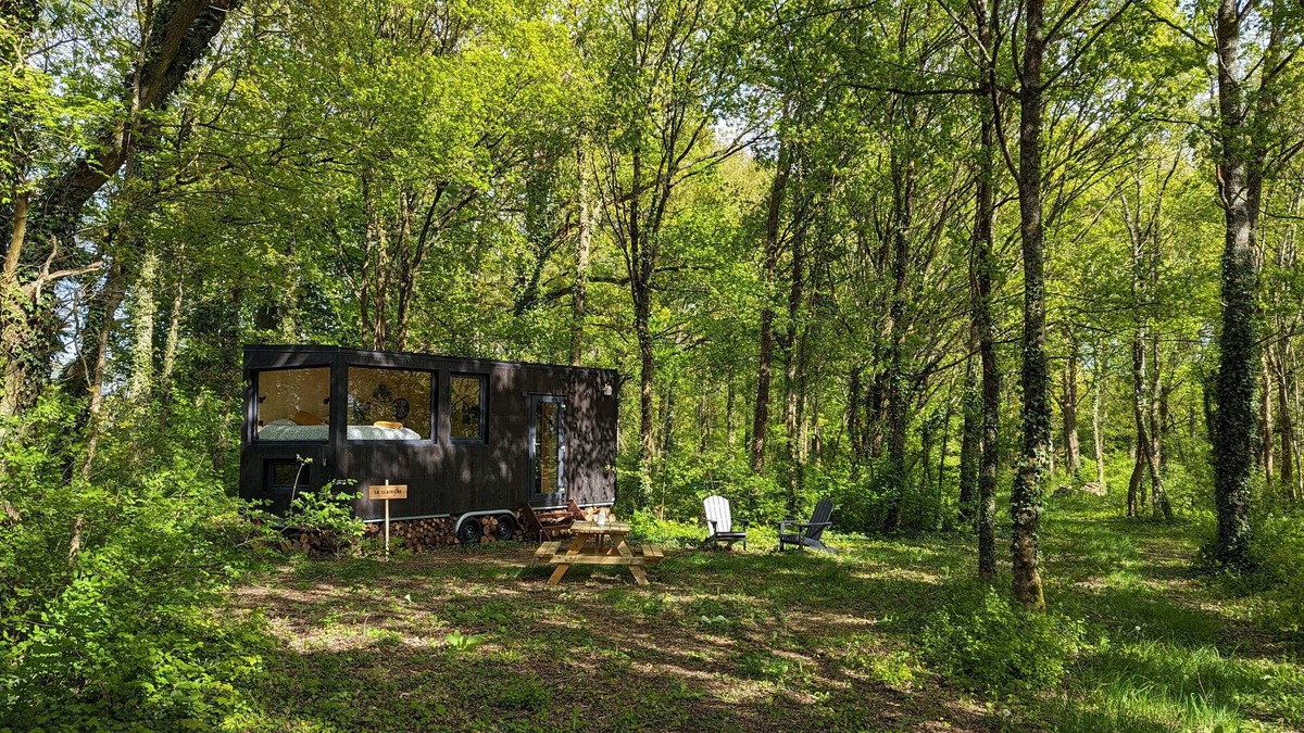 Sonchamp Cabin | Tiny House La Clairière Au Cœur de la Forêt !