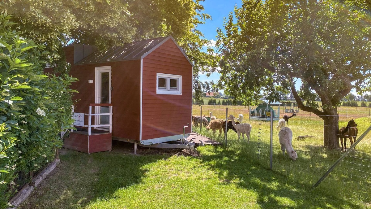 Rubkow Other | Tiny house on the alpaca farm - Tiny House