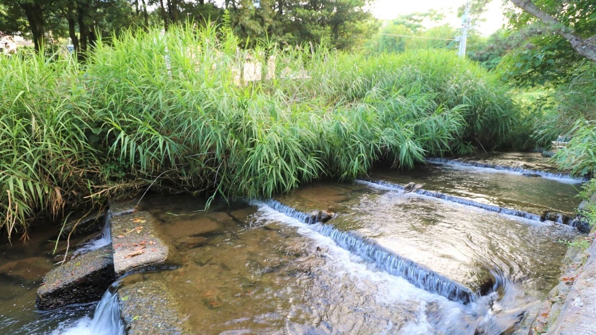 Usami House | Tiny house where the river of Izu flows/Ito Shizuoka