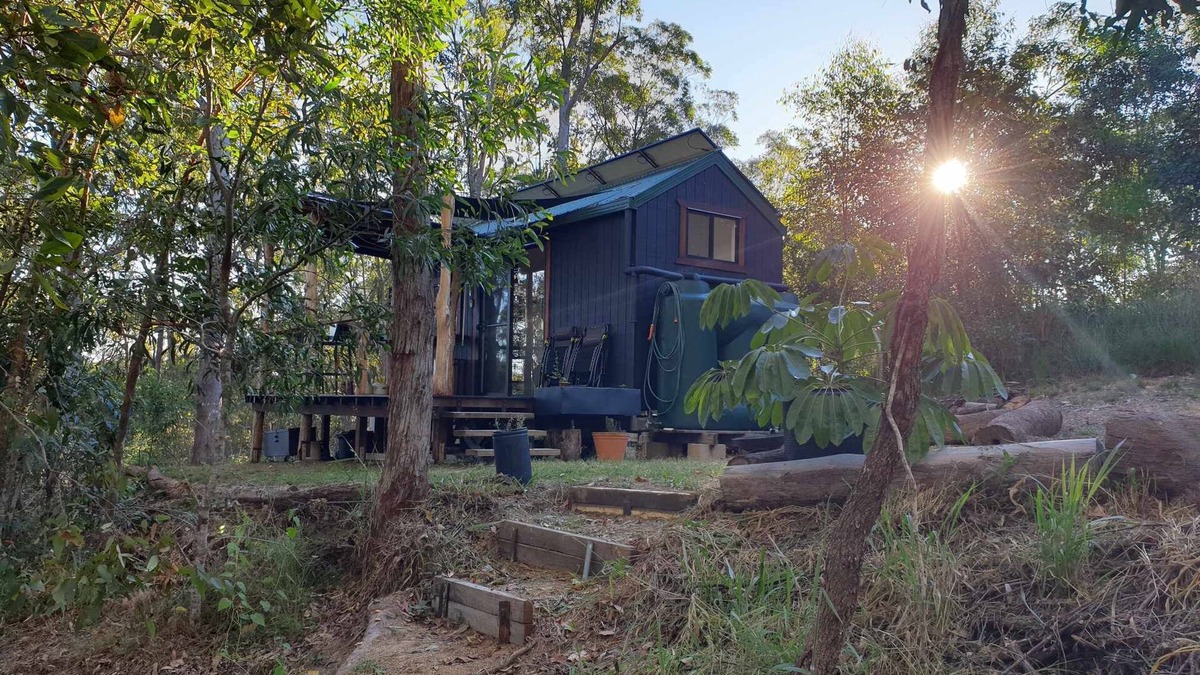 Bollier Cabin | Tiny in The Treesn- Cute, Spacious Tiny House set privately amongst the trees.n