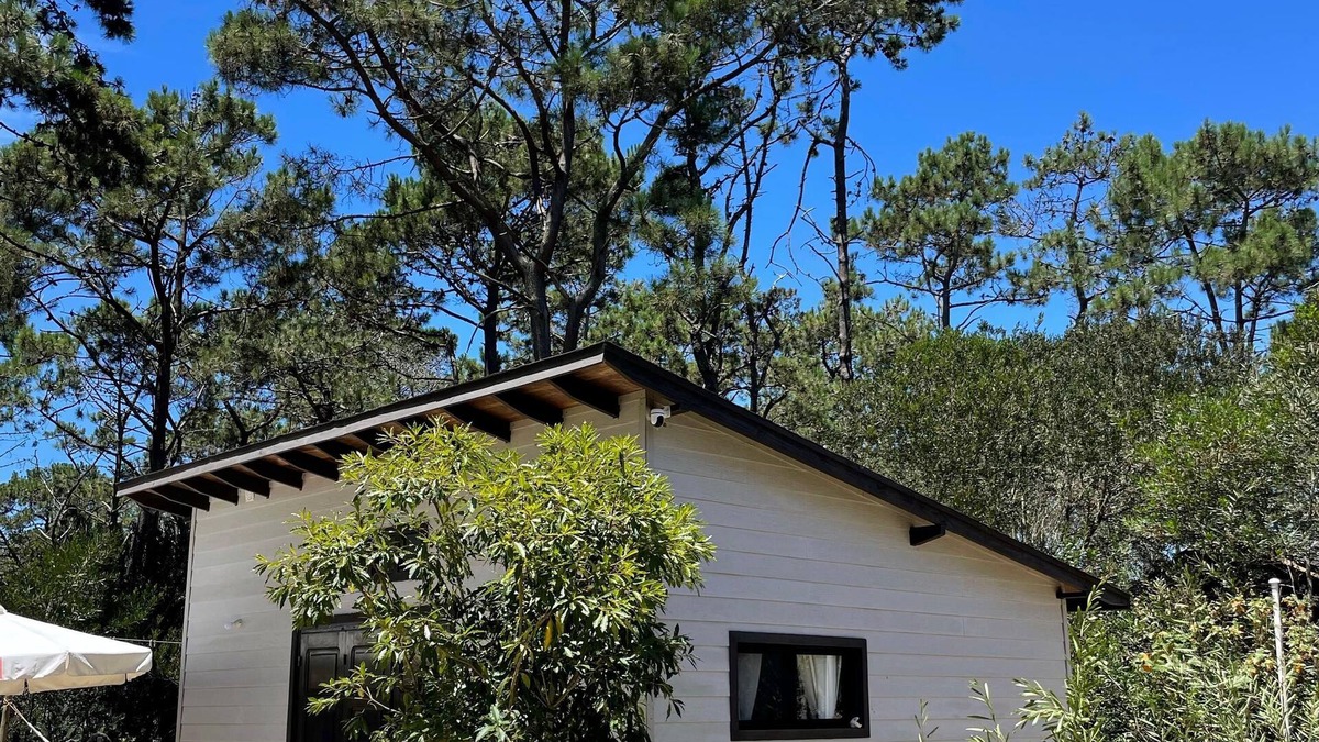 Rocha Apartment | Tiny Moor Laguna Garzón, 200 meters from the main beach.