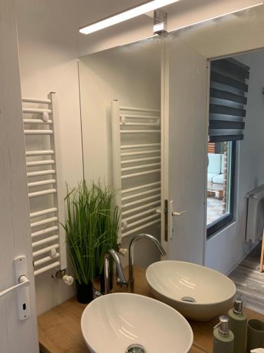 Sincraieni House | Tiny retreat