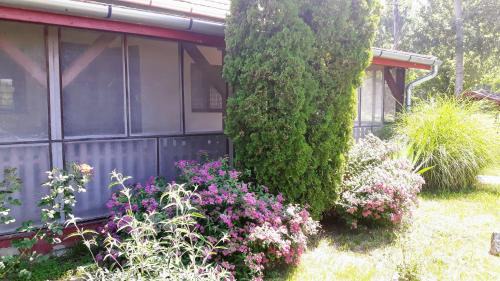 Kiskore Apartment | Tiszai Vándor Apartmanház