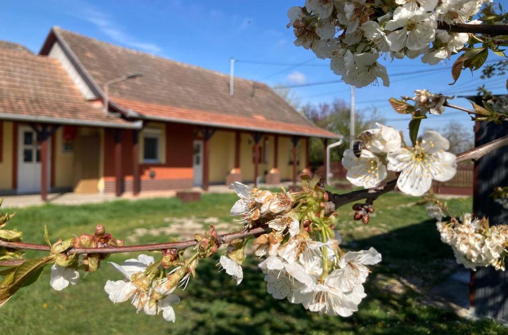 Tiszacsege Apartment | Tiszavirág Vendégház