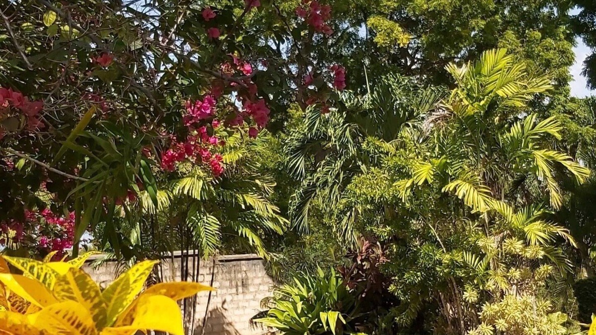 Tiwi Cottage | Tiwani Sunset Cottage - a little piece of Eden in Tiwi, Kenya