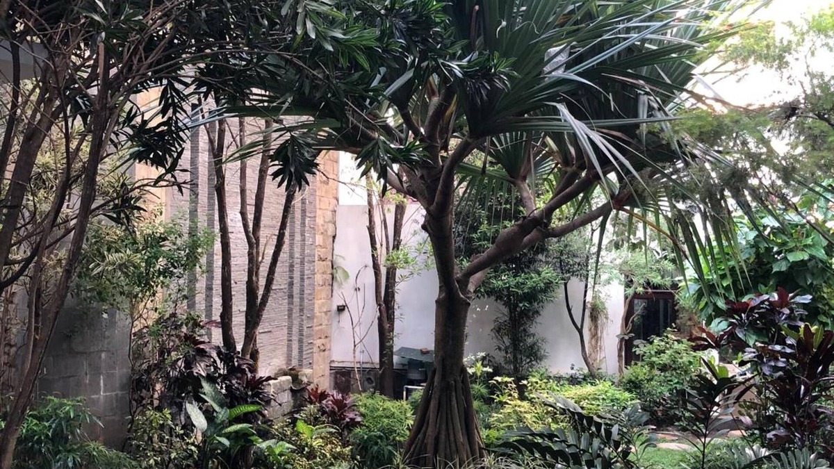 Dinoyo House | Tlogomas Guest House