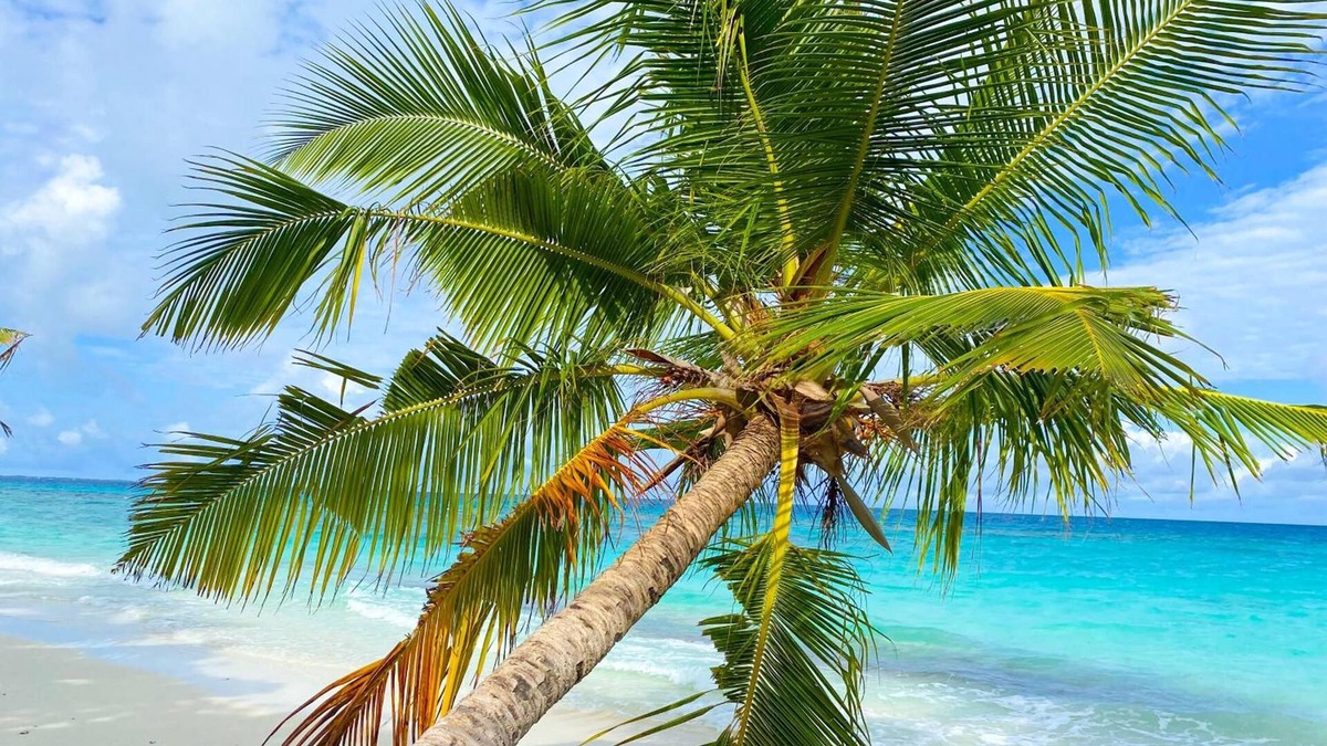 Dhigurah House | TME Retreats Dhigurah