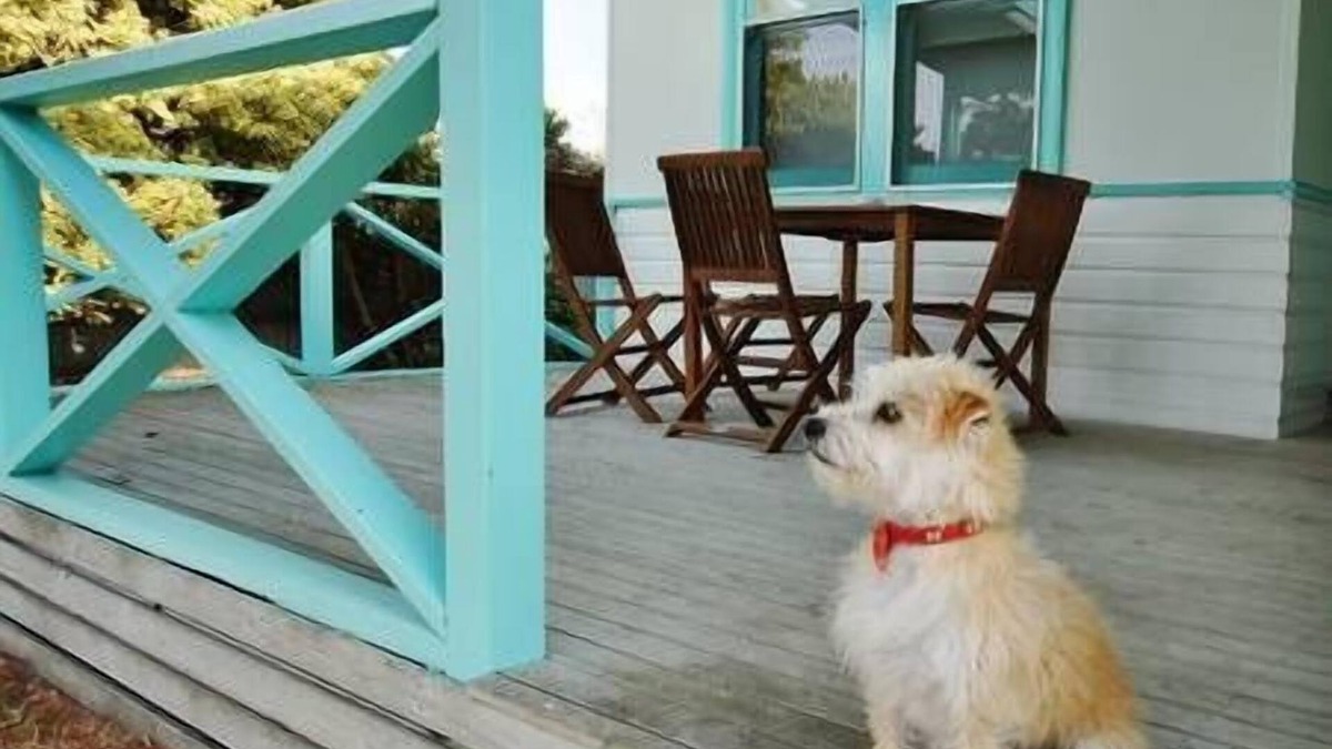 Waterhouse House | Tobruk Cottage Robe SA