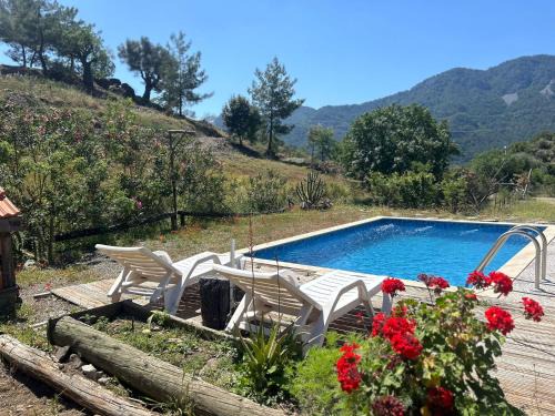 Ortaca Ski Chalet | Togo iztuzu Stonehouse-4