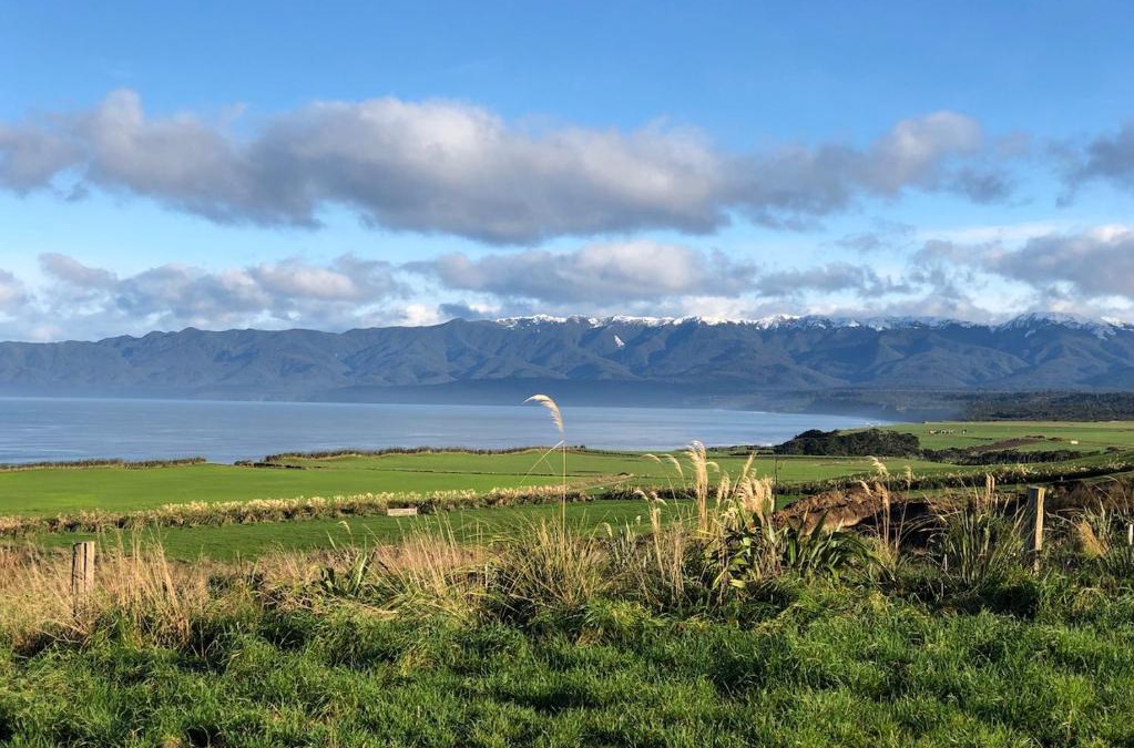 Papatotara Bed & Breakfast | ToiToi Papatotara BnB