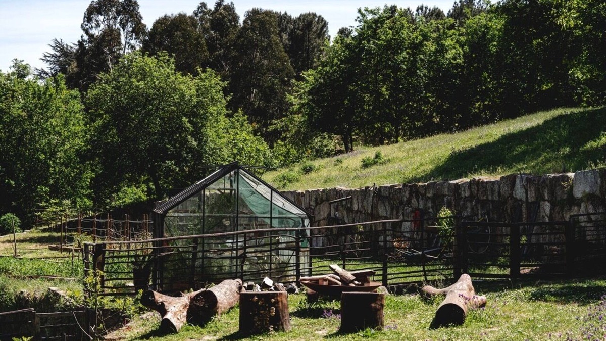 Vila Real Other | Tojeira - The perfect place to discover Trás-os-Montes and the Douro Valley