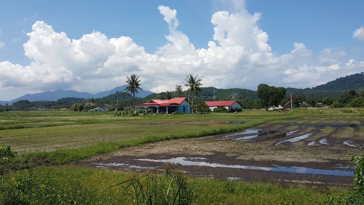 Kampung Kedawang House | Tok Bidin Homestay Langkawi