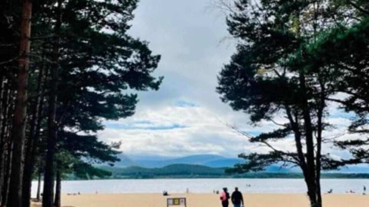 Grantown-on-Spey Cabin | Tom's Lodge