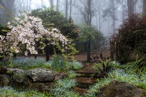 Mount Tomah Bed & Breakfast | Tomah Retreat - Studio RELAX with fireplace