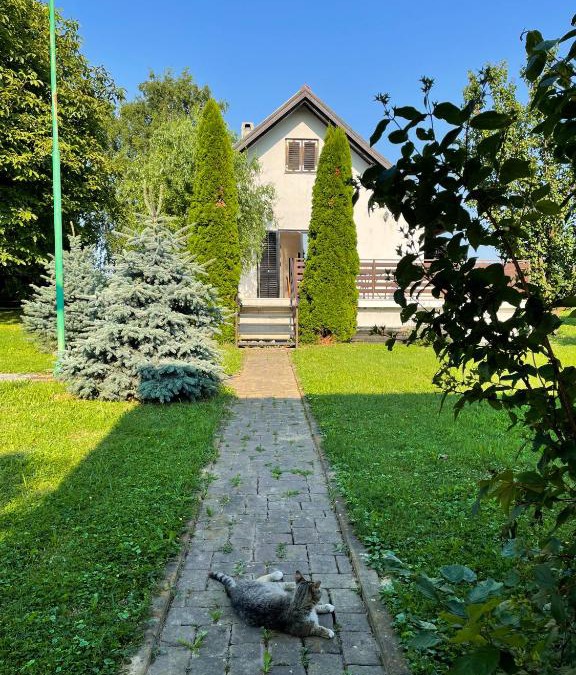 Municipality of Krizevci House | Tomasova kuća