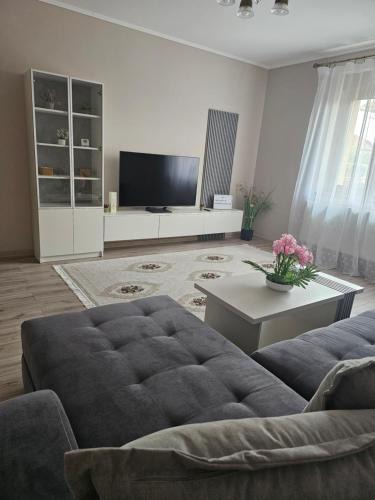 Hunedoara Apartment | Tommy Home