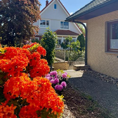 Hitzacker Apartment | TooHuus