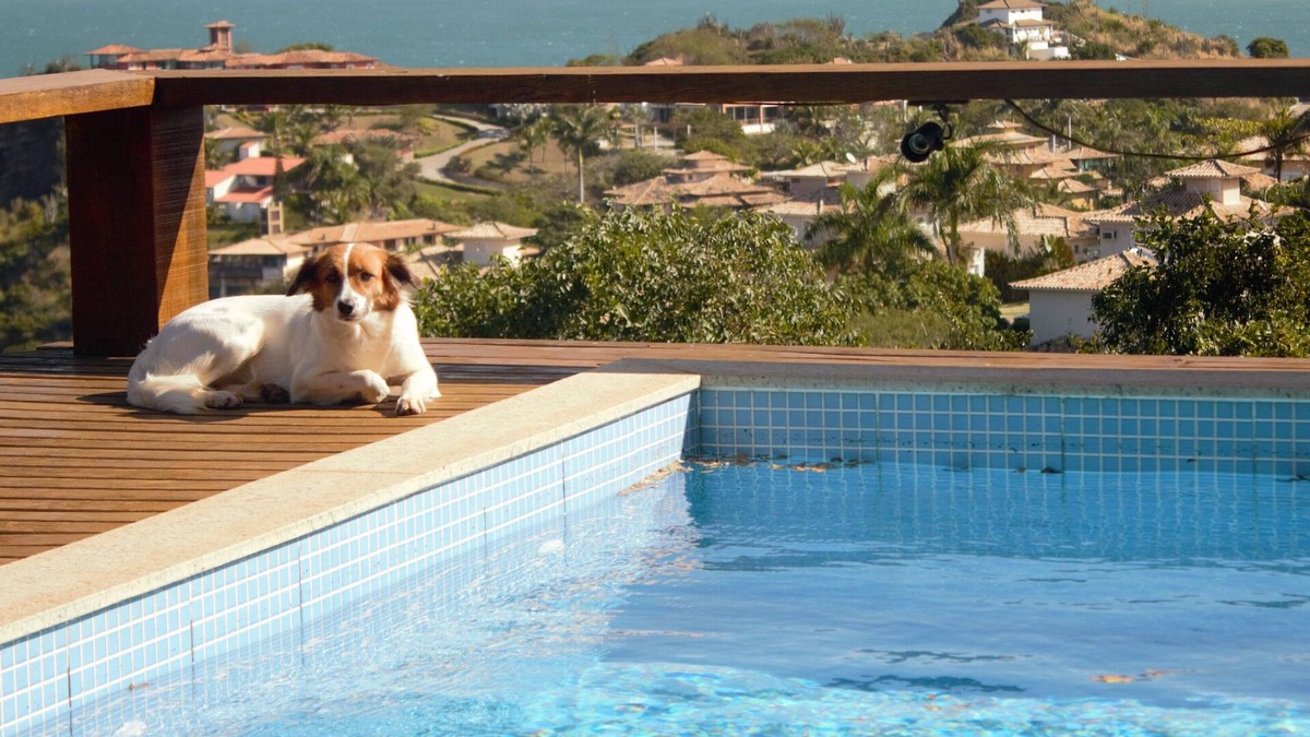 Albatroz House | TOOL. BUZIOS.