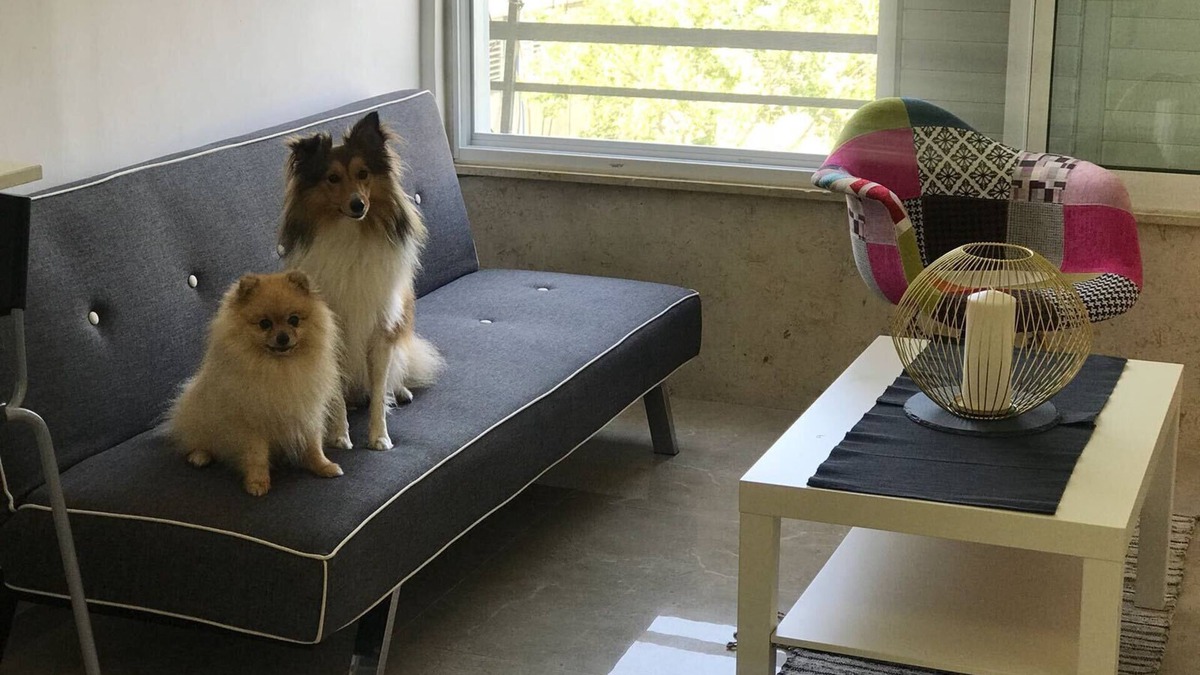 Kiryat Motzkin Apartment | Top Central place: Haifa - Akko - Beach: Real home