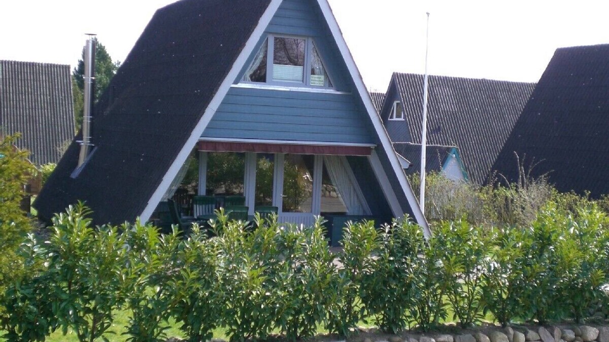 Damp House | Top furnishing, by the beach