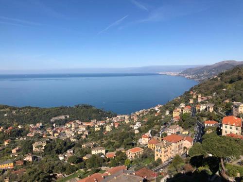 Recco Apartment | Top Hill Genoa