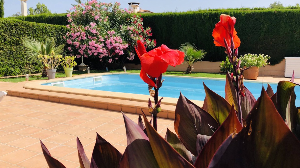 Porto Cristo Novo House | Top maintained and fully equipped holiday home with pool near the beach