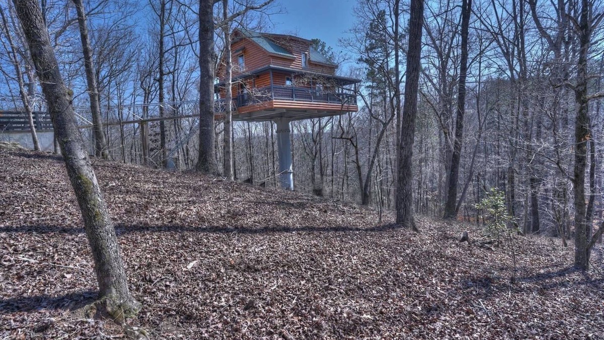 Cleveland Cabin | Top of the Line Treehouse Cabin