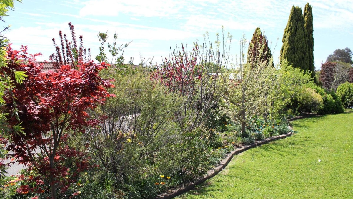 Inverell Hotel | Top Of The Town Motel