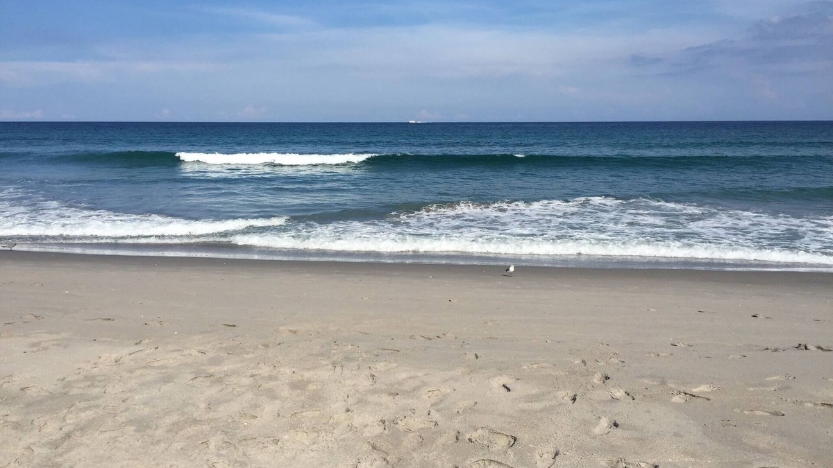 Delray Beach House | Top Rated Beach Area Gem with Free Parking, Walk to Shops, Restaurants & Beach!