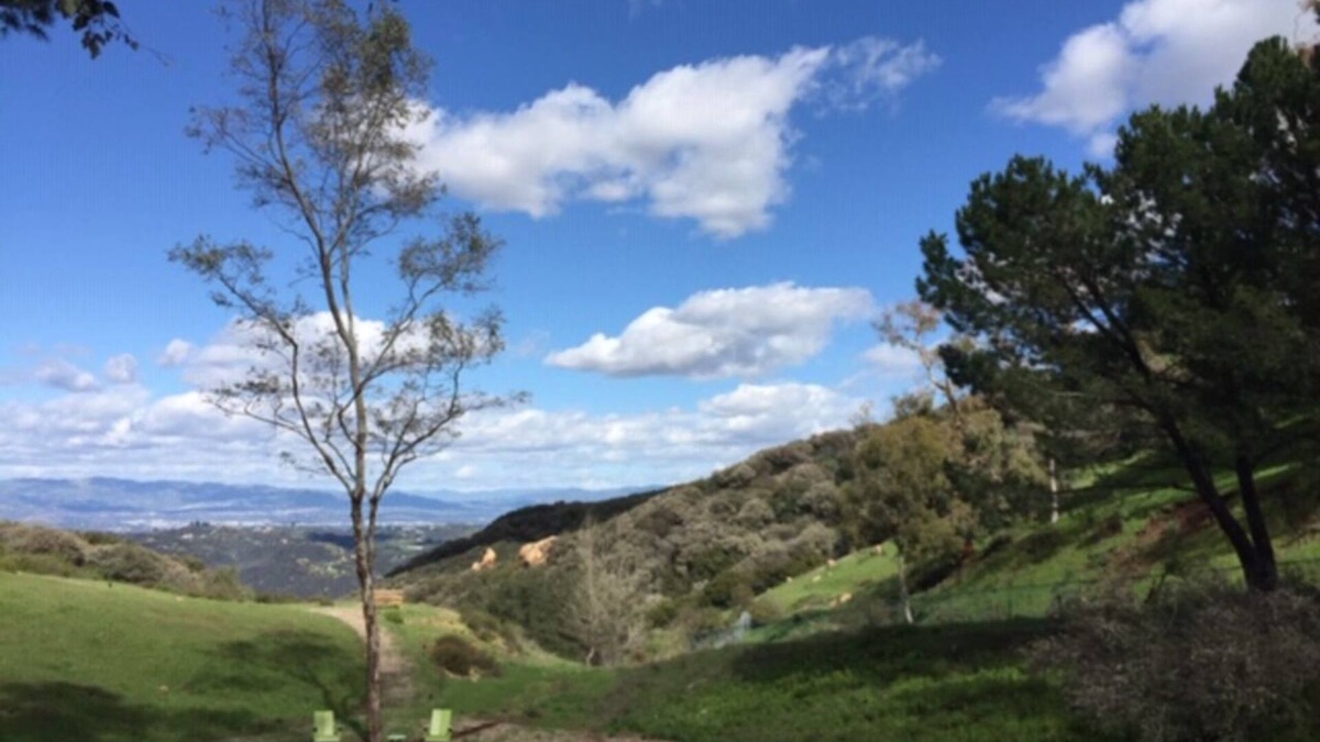Topanga Apartment | Topanga Mountain Paradise - a dream getaway