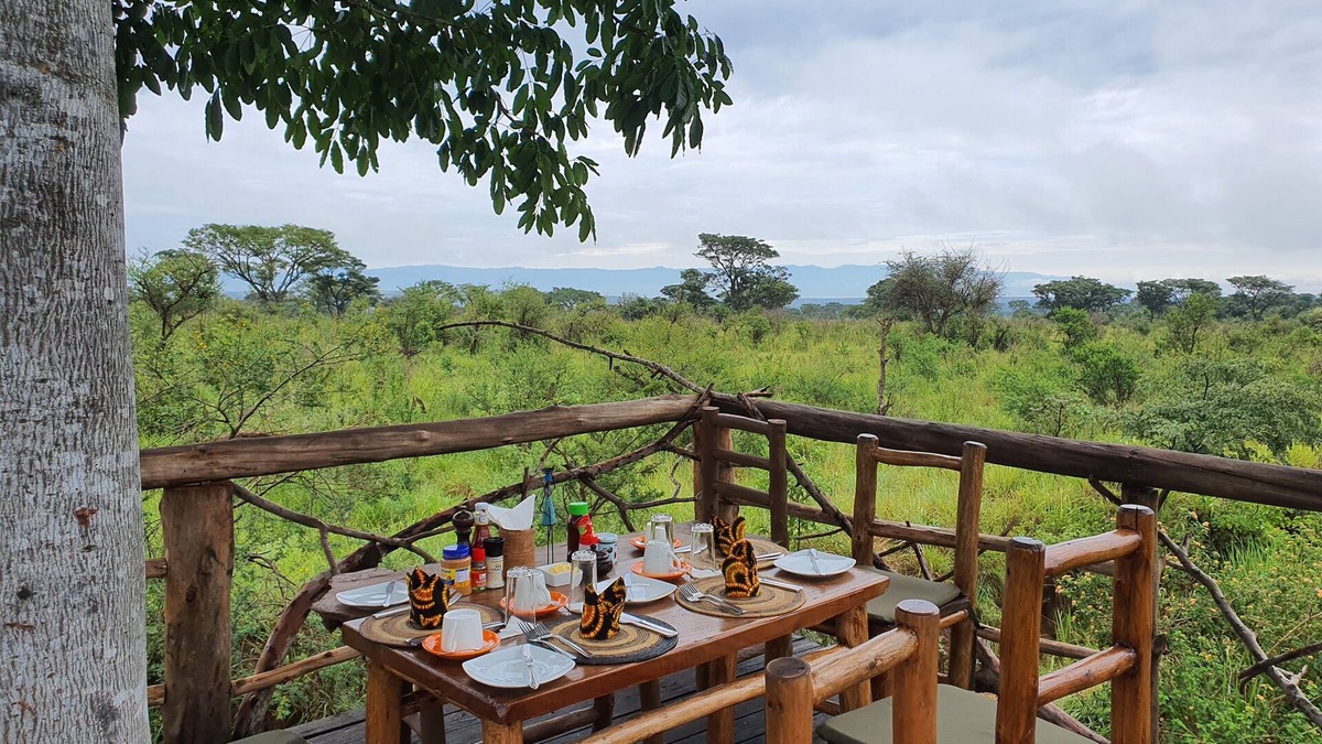 Kinkiizi Cabin | Topi Lodge