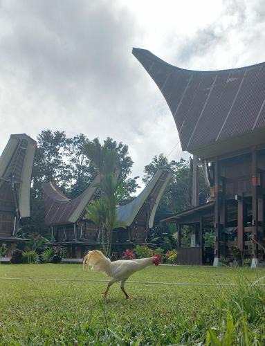 Rinding Batu House | Toraja Homestay & Coffee Bunna