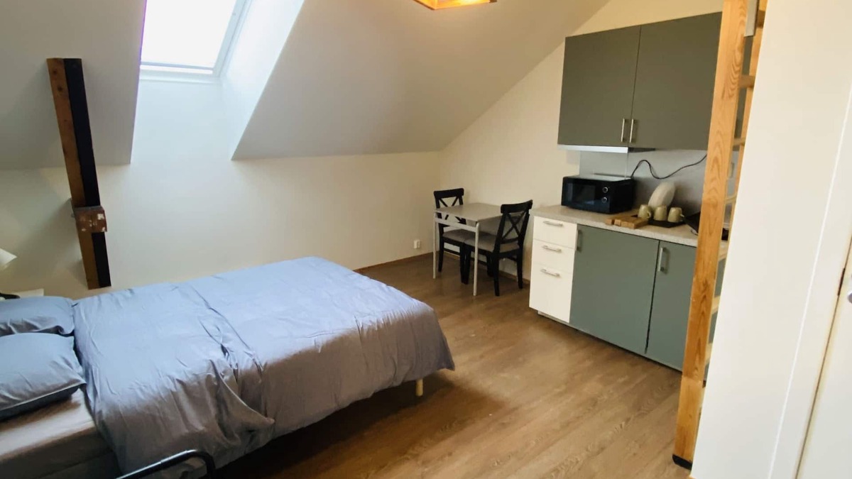 Oslo City Centre Apartment | Torggata Apartments Oslo- Romslig Hel-studio Leilighet Midt i Oslo Sentrum