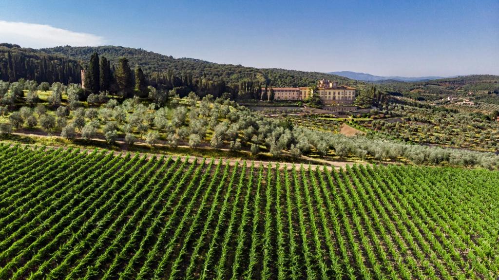 San Donato in Collina Hotel | Torre a Cona Wine Estate