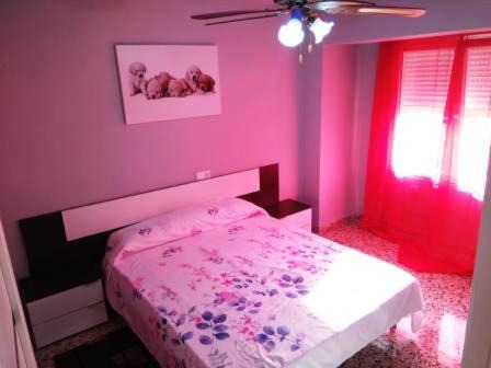 Torrevieja Apartment | Torrevieja Playa Cura