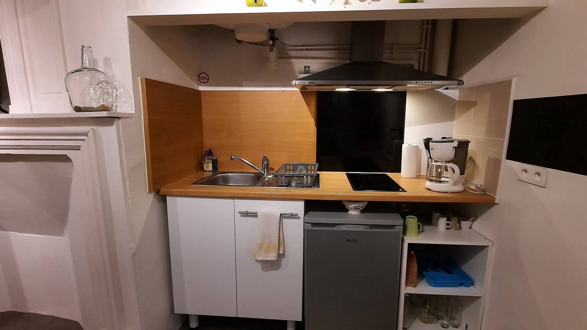Montastruc-la-Conseillere Apartment | Toulouse 15 min 4 people apartment 3 beds kitchen shower clean