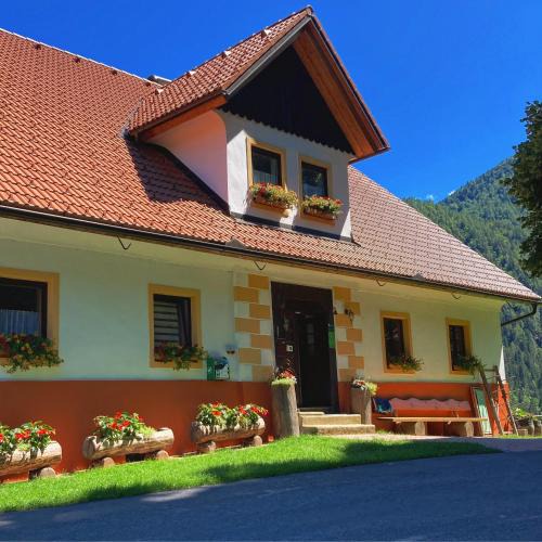 Solcava Apartment | Tourist farm Gradišnik