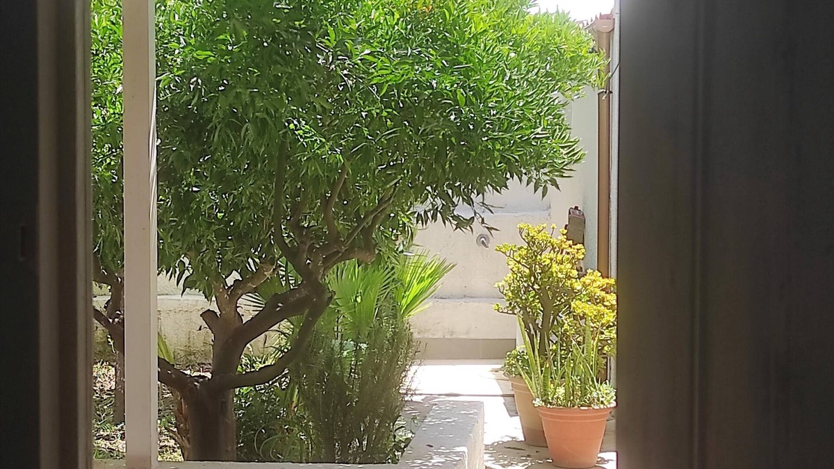 Birgi Vecchi House | Tourist lease