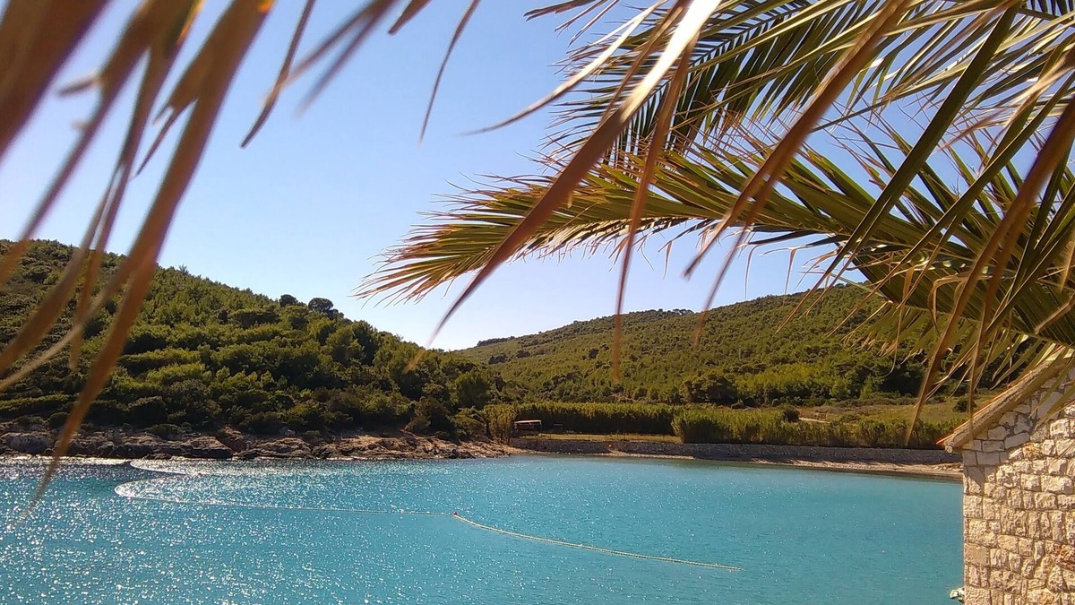 Milna House | Tourist Resort Milna Vis