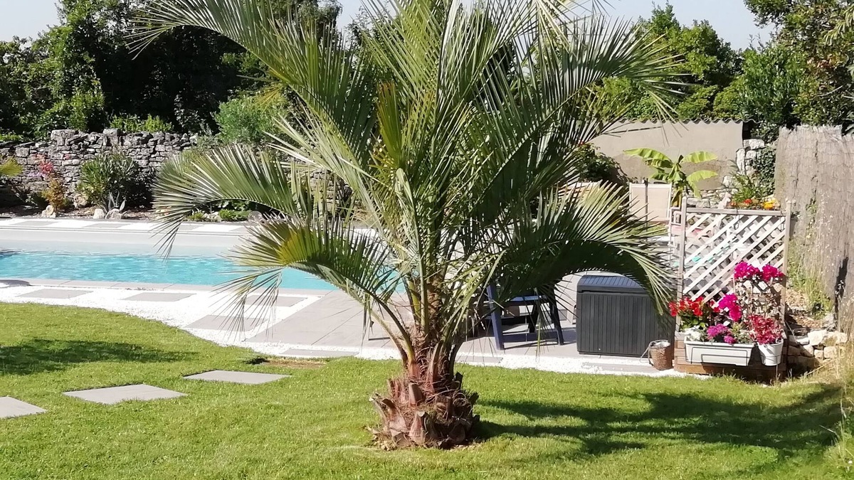 Goise-Champommier-Champclairot House | Town house with garden and heated pool